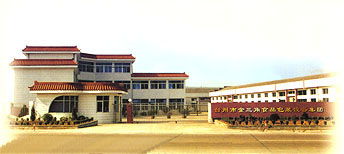 紙質(zhì)磚型液體包裝機(jī),雙色軟糖澆灌機(jī) 浙江省臺州市賽特食品設(shè)備廠 公司介紹